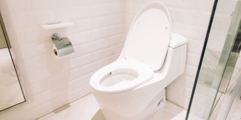 Como Desentupir Vaso Sanitário Que Caiu Objeto Dentro em Porto Alegre: 4 Técnicas Como desentupir vaso sanitário que caiu objeto dentro em Porto Alegre